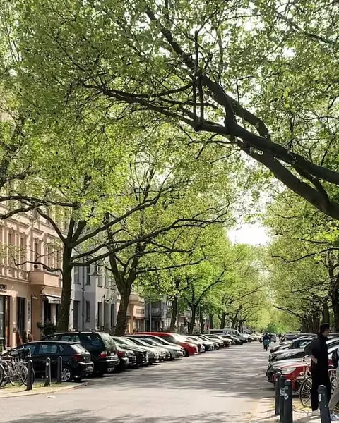 Baumgesäumte Kollwitzstraße in Berlin Prenzlauer Berg